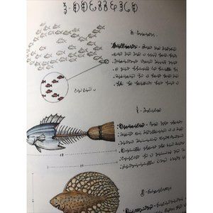 Luigi Serafini Codex Seraphinianus Print 82